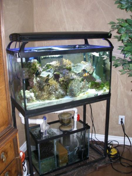 50gal