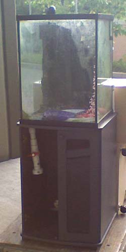 cube tank Front