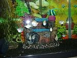 My Big Fat Silver Balloon Molly Breeding tank