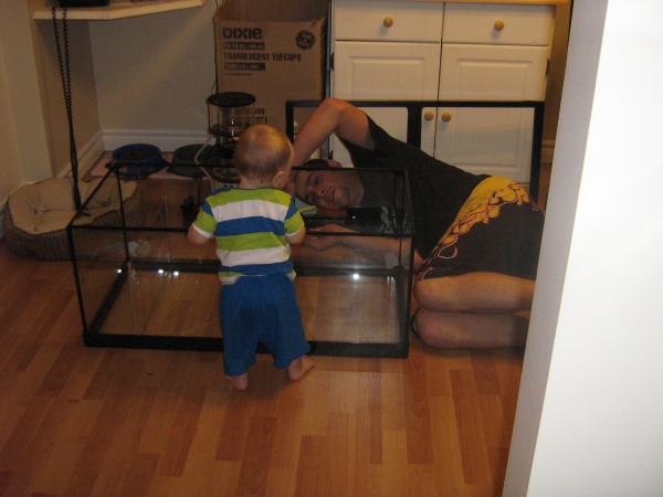 the kiddo helpin with the sump