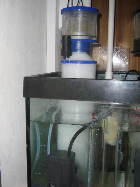 eshopps 100 skimmer