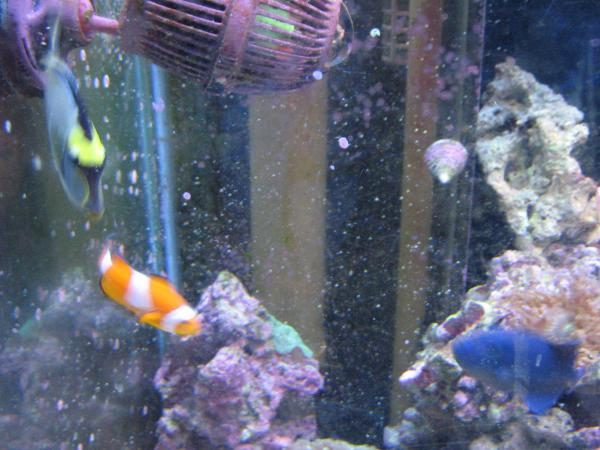 pics08 202