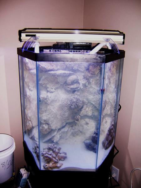 wall in tank 4