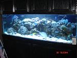 user4261 pic250 1229559172 thumb