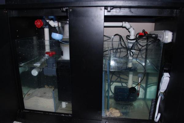tank update 043