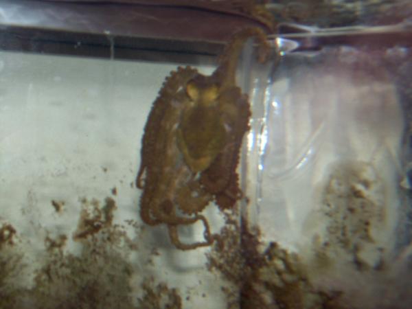 Picture 017