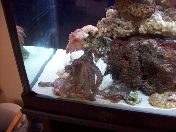 Picture 025