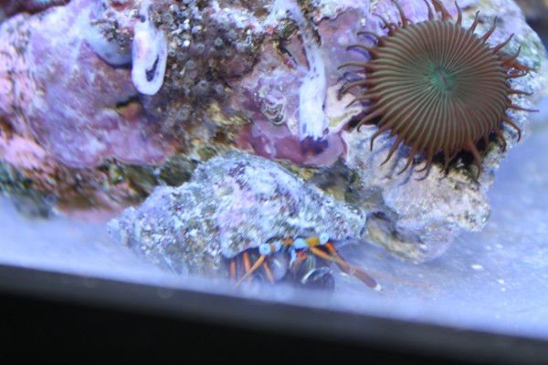 Aquarium 101