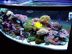 My Reef