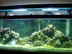 My Tank