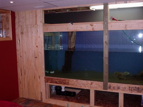 2. I don't have any photos of the stand construction, but you can kind of see it here.  All re-enforced 4x4.  The dimensions of the aquarium are 10' long, 3' wide, and 4' tall on a 2' stand.  I wanted to build a FRESHWATER SYSTEM and it was designed as such.  The glass is tempered, but I forget the thickness.  It was heavy, delivered through the basement window with friends who 'believed'! The filtration system is on the left behind the door.  I placed a large pump underneath, as well as a modified 220v hot-tub heater to maintain a constand temperature.  Aboive the aquarium was eventually tiled and vented into the houses furnace system to draw off excess moisture, and act as a humidifier for the house.  Fluorescent and pot-lighting was placed above for the construction phase.  I had 4 holes drilled out in the back and two on either end for water flow, and plumbed with 1.5 inch pvc pipe