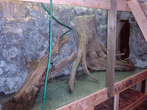 14. All of the background is complete. You can see on the far right end of the aquarium is a viewing window, which would open into the adjacent bedroom.