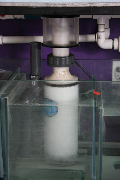 Euro-Reef RS80 Skimmer