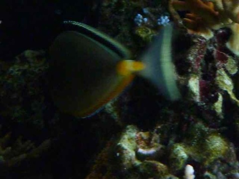 P1000400
