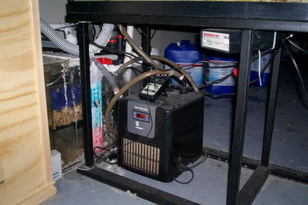 100 1744
current USA chiller, Pinpoint PH monitor, and Red Sea wavemaker