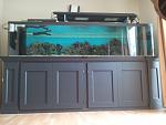 300 gallon fowlr tank