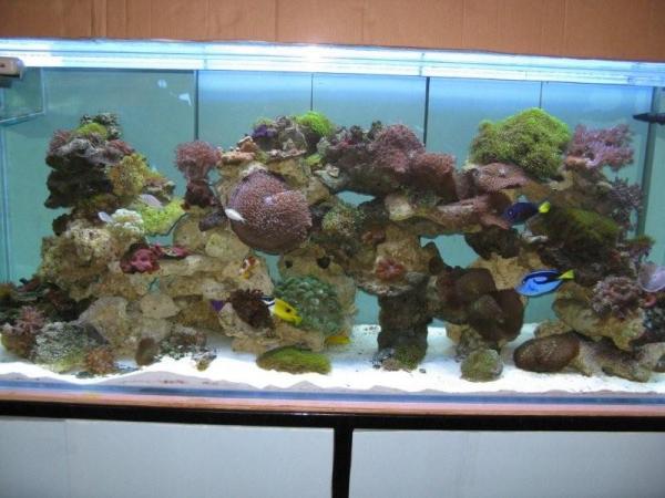 IMG 0532 (2)
