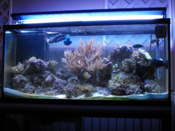 FTS October , 2011