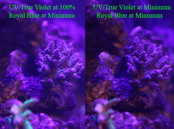 Compare Minimum UV with Max UV