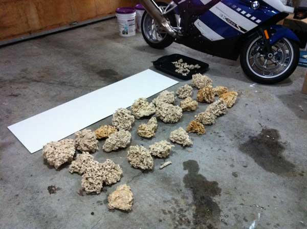 The Marco rocks prior to setup... got some nice large and very poreous pieces in there...