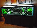 Freshwater Tanks