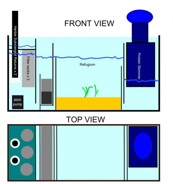 A very rough sketch of my 90 Gallon sump