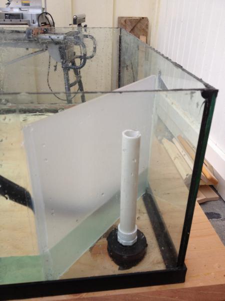 photo 4 (1)