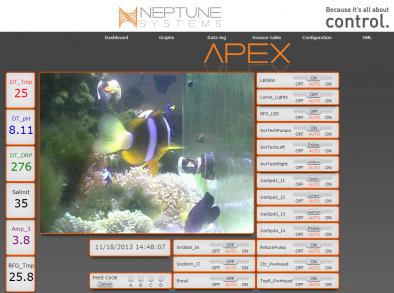 APEX is up and running, what fun these things are!