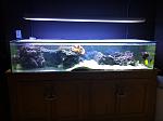 TankForSale