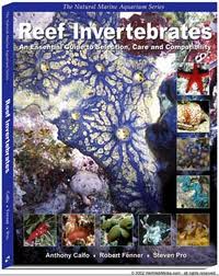 reef invertabrates