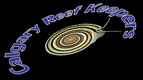 reefkeepers1