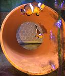 Ocellaris Clownfish