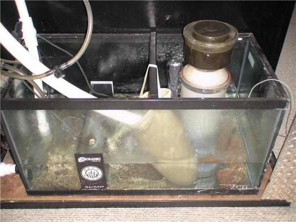 55 Gallon Oceanic Sump $300