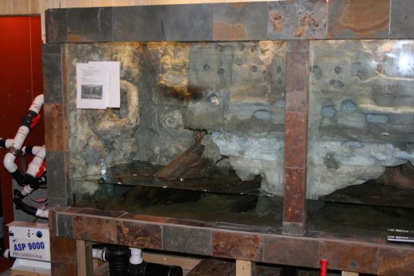 29. Approximately 2 years after I started, I was content with the interior and began to fill it. It was NOT COMPLETE but my wife and I had made a decision to move out of the city around this time. Unfortunately, we sold the house without completing the aquarium. There is a bit of a story about the new owner wanting me to have it completed and ready for his saltwater livestock in a matter of days, but I refused, and we'll leave it at that.