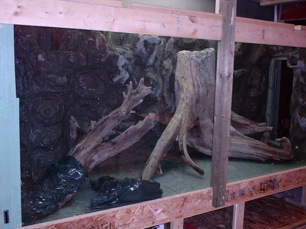 12. I covered the driftwood in order to prevent any contamination. I also removed the substrate. At this point, I had not finished the exterior of the aquarium.