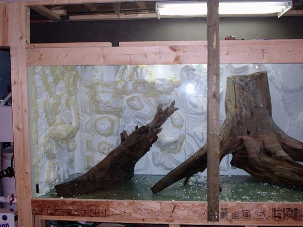 8. After all the sections were complete, they were secured into the aquarium with an epoxy. They were very buoant, so great care had to be made to secure them. I also added a couple more pieces of driftwood, securing them as well.